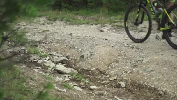 MOCIÓN LENTA: Atletas montando bicicletas de montaña en un sendero forestal — Vídeos de Stock