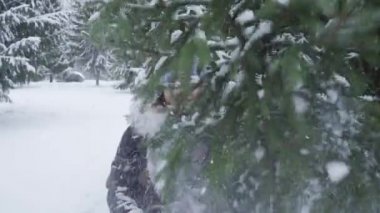 Mutlu bir genç kız, karla kaplı bir köknar ağacının karını silkeliyor.