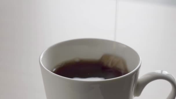 Pečení sáčku černého čaje v keramickém hrnku. Bílé pozadí — Stock video