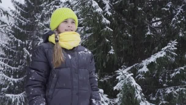 Retrato de uma adolescente feliz em um parque nevado — Vídeo de Stock