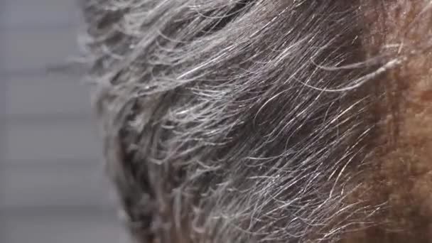 Cabello gris en la cabeza de un hombre. Macro superficial profundidad de campo de tiro de pelo rubio grisáceo — Vídeos de Stock