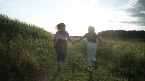 Duas meninas correm em um prado de verão de mãos dadas — Vídeo de Stock