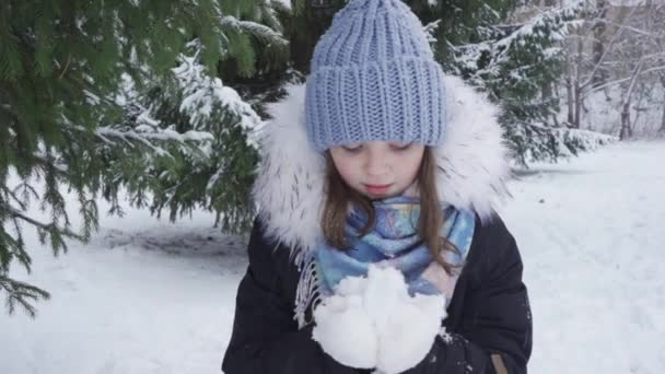 Portret van een gelukkig, blauwogig tienermeisje in een besneeuwd park — Stockvideo