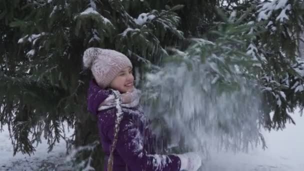 Een gelukkig tienermeisje schudt de sneeuw van een besneeuwde dennenboom af — Stockvideo