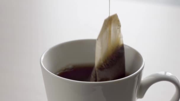 Preparando una bolsa de té negro en una taza de cerámica. Fondo blanco — Vídeo de stock