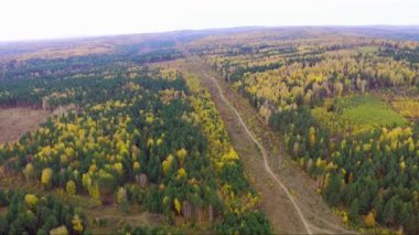 Bir sonbahar ormanında elektrik hattının drone görüntüsü.
