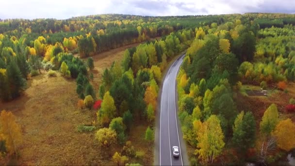 Luftaufnahme einer Autobahn im herbstlichen Wald von einer Drohne — Stockvideo