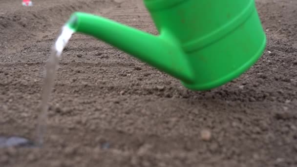 El agua de una regadera se vierte en tierra seca. Riego del suelo antes de sembrar semillas. — Vídeos de Stock