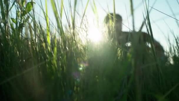 มุมมองผ่านหญ้าสูงไปยังเงาของผู้ชายนั่ง . — วีดีโอสต็อก