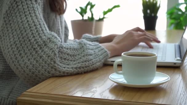 Női kezek dolgoznak egy laptopon egy kávézóban. — Stock videók