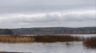Dramatik manzara: bulutlu bulutlu gökyüzü gölün suyuna yansıyor. Uzaktan bir orman görünüyor.