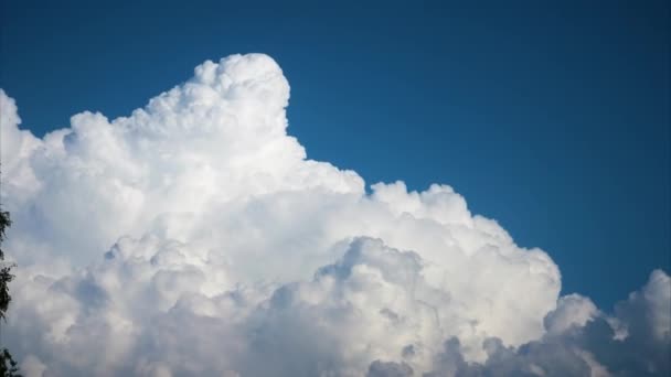 白い雲が渦巻く。時間の経過。パンショット。雲が雲の上を旋回して雲のクラスターを移動する美しい青空 — ストック動画