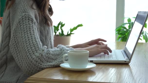 Une femme travaille sur un ordinateur portable dans un café — Video