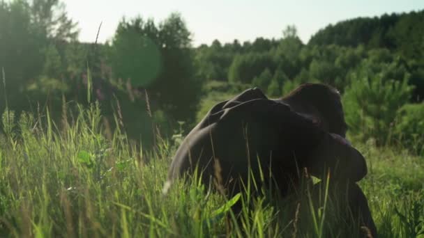 背の高い草を通って座っている男のシルエットを見る. — ストック動画