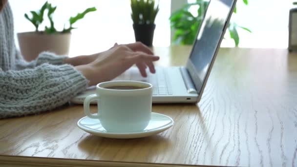 Női kezek dolgoznak egy laptopon egy kávézóban. — Stock videók
