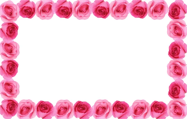 Rose flower frame background — Stock Photo, Image