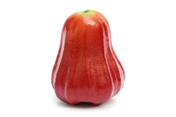 Rose apple izolované na bílém — Stock fotografie