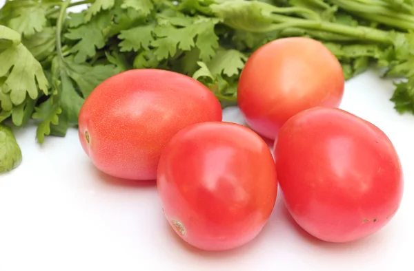 Group of tomato beside coriander vegetable on white background — Stock Photo, Image