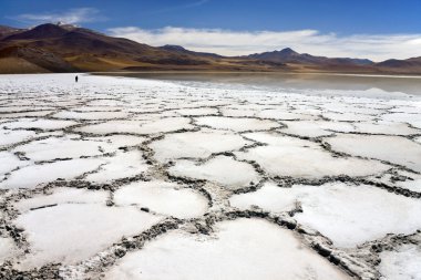 tuyajto lagoon & tuz daireler - atacama Çölü - Şili