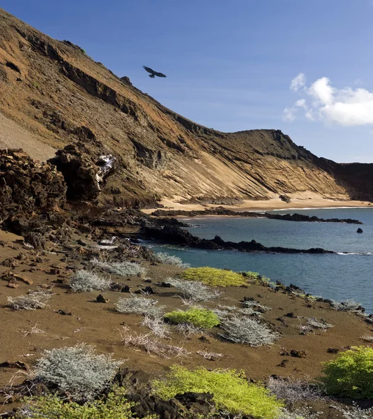 Bentang alam vulkanik Bartolome di Kepulauan Galapagos — Stok Foto