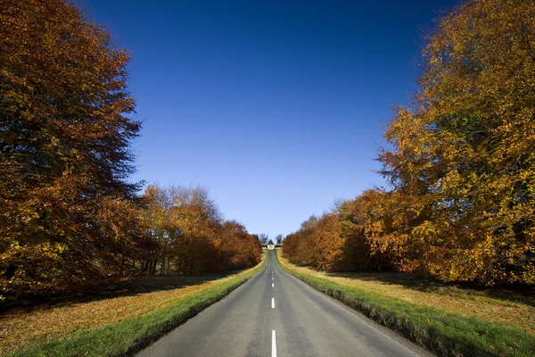 Carretera de campo en otoño — Foto de Stock
