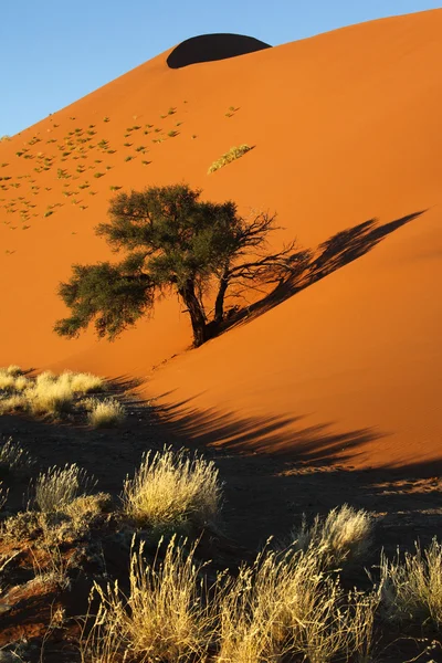 Homok dűne - Sossusvlei - Namíbia — Stock Fotó