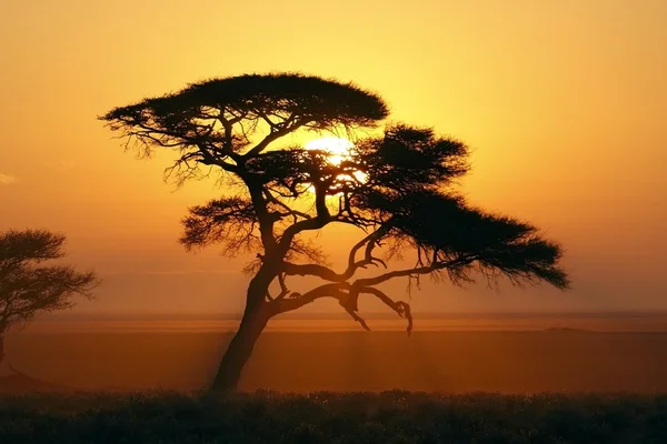 African Sunrise - Namibia — Stock Photo, Image