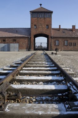 Birkenau nazi toplama kampı - Polonya