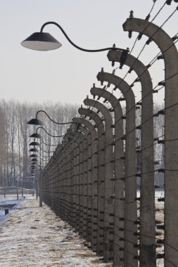 Birkenau nazi toplama kampı - Polonya