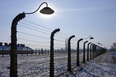 Birkenau nazi toplama kampı - Polonya