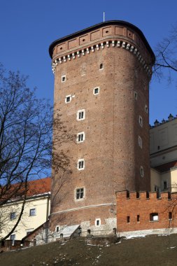 Krakow - royal castle - wawel hill - Polonya