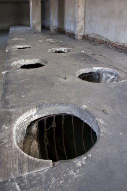 Birkenau nazi toplama kampı - Polonya