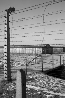 Birkenau toplama kampı - Polonya