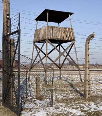 Birkenau nazi toplama kampı - Polonya