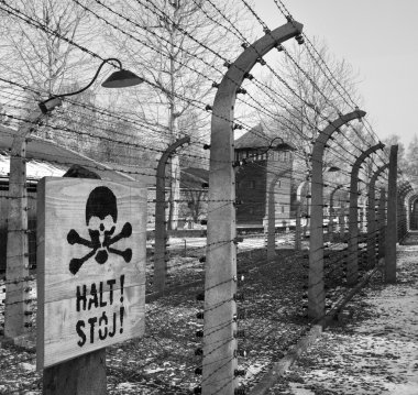 Auschwitz toplama kampı - Polonya