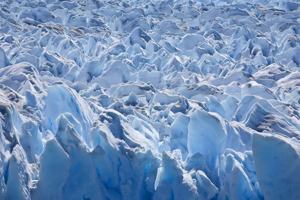 perito moreno Buzulu - patagonia - Arjantin