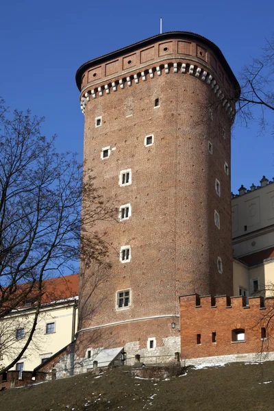 Cracóvia - Castelo Real - Wawel Hill - Polónia — Fotografia de Stock