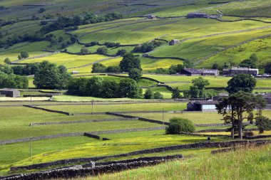 Yorkshire dales - İngiltere