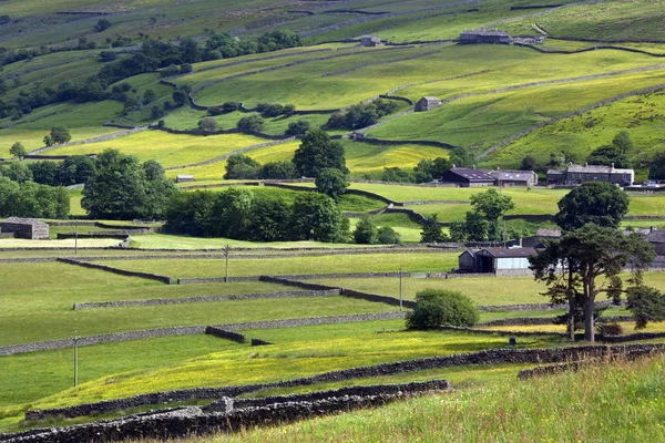 Yorkshire dales - Anglie — Stock fotografie