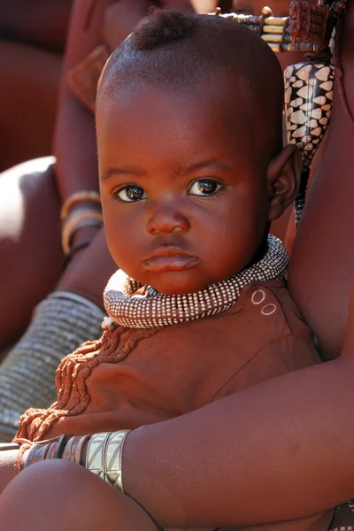 Himba tribepeople of damaraland - namibia — Stockfoto