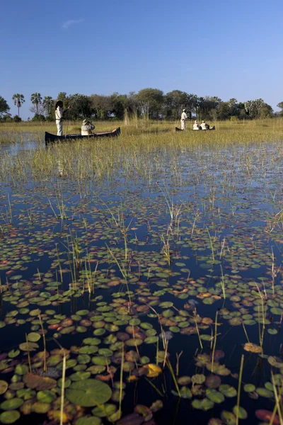 Okagango Delta - Botswana — Zdjęcie stockowe