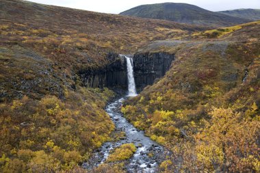 svartifoss şelale - skaftafell Milli Parkı-İzlanda