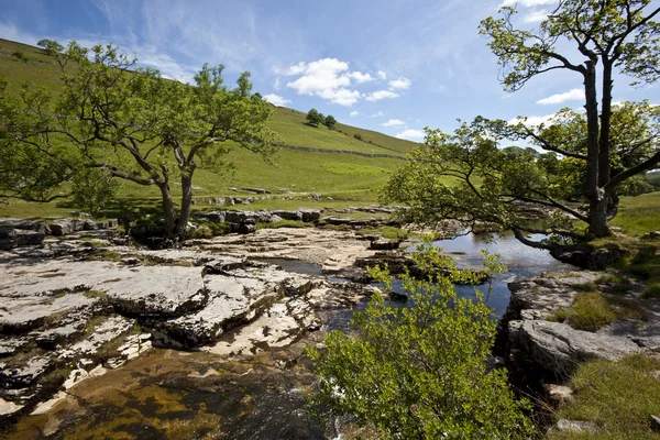 Rzeka wharfe - yorkshire dales - Anglia — Zdjęcie stockowe