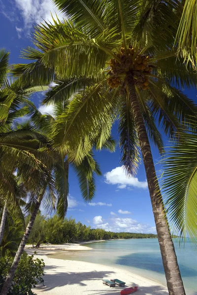 Isole cuoco - Pacifico meridionale — Foto Stock