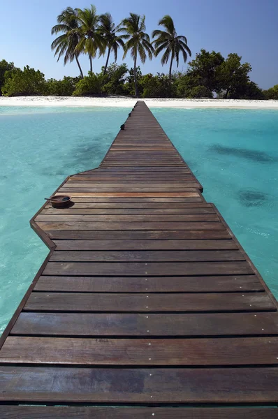 Pathway to Paradise — Stock Photo, Image