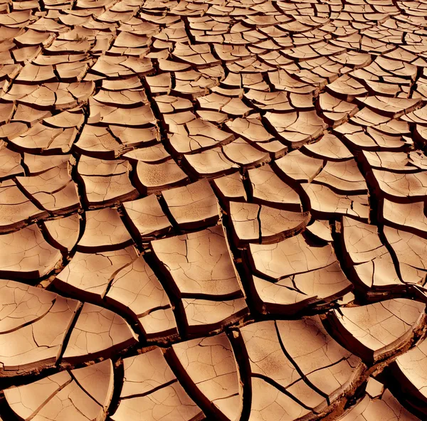 Dry and cracked earth — Stock Photo, Image