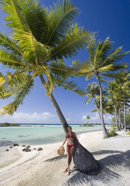 French Polynesia in South Pacific — Stock Photo, Image