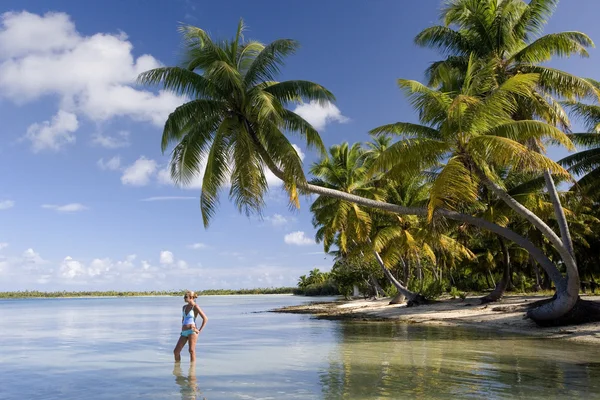 Cooköarna - södra Stilla havet — Stockfoto