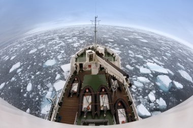 Deniz buzu spitsbergen coast off