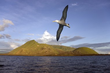 Ekvador volkan - galapagos Adaları